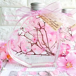 桜　ハーバリウム　₊✼̥*ˈ インテリア　プレゼント　ギフト　　春　贈り物　母の日　サクラ　ハーバリウム　ハート瓶　 1枚目の画像