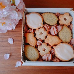 【完売御礼】桜クッキー缶～春の訪れ 2022～ 大 1枚目の画像