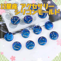 S101.12星座 アクセサリー シリコンモールド 韓国 ハンドメイド