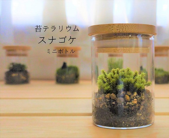 苔テラリウム スナゴケ ミニボトル その他インテリア雑貨 Earth Green 通販 Creema クリーマ ハンドメイド 手作り クラフト作品の販売サイト