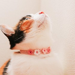 ふんわり桜の手編み首輪　猫ちゃん・小さなわんちゃん用 1枚目の画像
