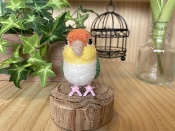 シロハラインコ 羊毛フェルト TinyBooBoo 通販｜Creema(クリーマ)