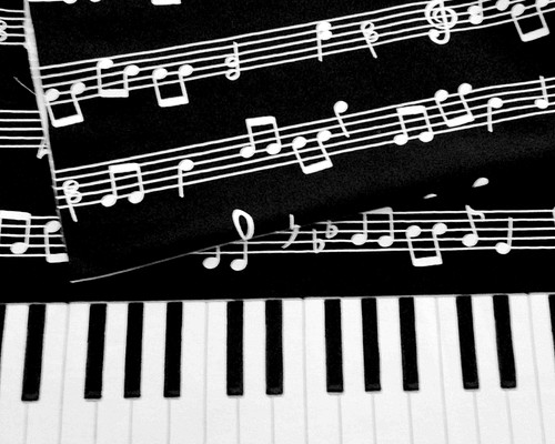 コットンオックス　楽譜と鍵盤　ボーダー柄　ブラック（1200-75）