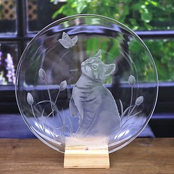子猫のガラス大皿 1枚目の画像