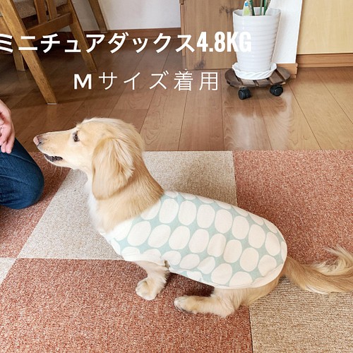 送料無料 ミニチュアダックス服 3サイズ タンクトップ ダックス柄 生成り 愛犬服 ペット服 犬服 受注製作品 ペット服 アクセサリー スノードロップ 通販 Creema クリーマ ハンドメイド 手作り クラフト作品の販売サイト