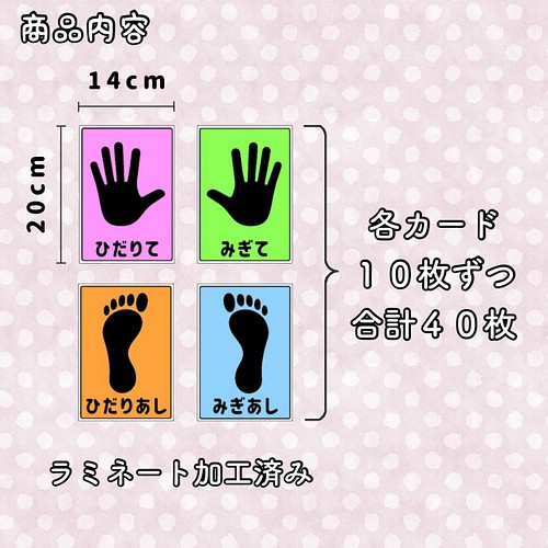 手足けんけんぱカード 40枚セット 運動学習 知育玩具 保育教材 発達