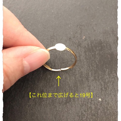 カラフル.ドライフラワーのリング〜【フリーサイズ】(受注製作) 指輪 