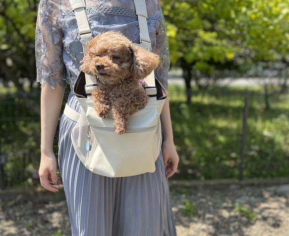 合皮タイプ「─大切なものは前に─」 小型犬用キャリーバック「パスカ