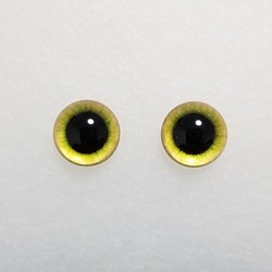 Q9　猫の瞳　１２㎜　グラスアイ　羊毛フェルト用 1枚目の画像
