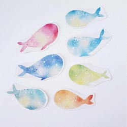春の小鯨魚 透明貼紙 第1張的照片