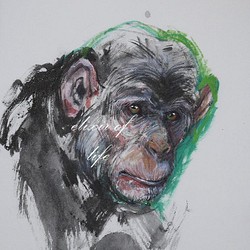 原画。チンパンジーのポートレート２０２２（墨、水彩、アクリル、パステル、厚い和紙、２６ｃｍ×３６ｃｍ） 1枚目の画像
