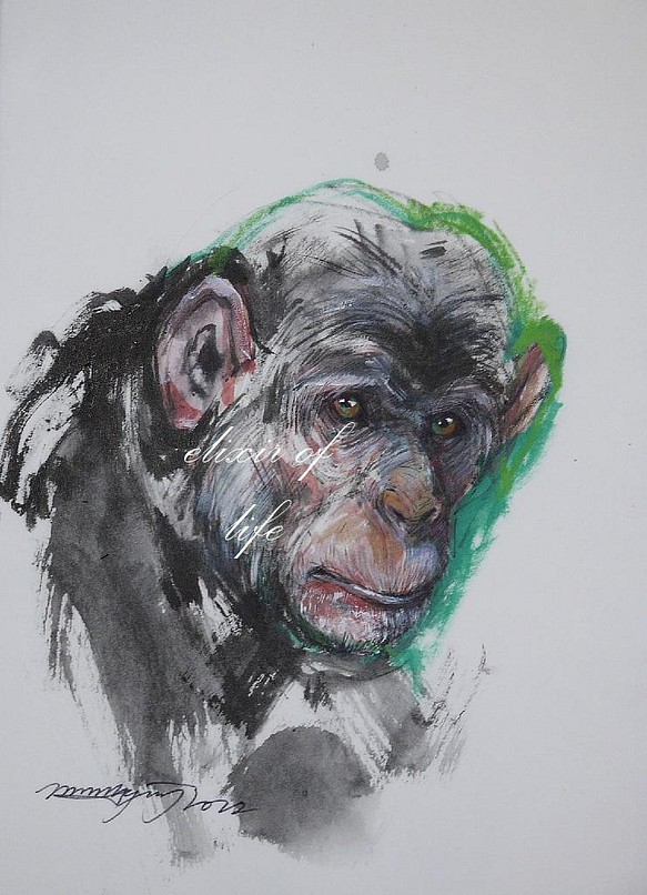 原画。チンパンジーのポートレート２０２２（墨、水彩、アクリル、パステル、厚い和紙、２６ｃｍ×３６ｃｍ） 1枚目の画像