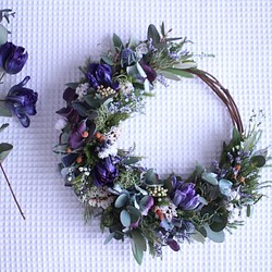 紫チューリップと白い小花の三日月リース✳︎ドライフラワー◎22センチ 1枚目の画像