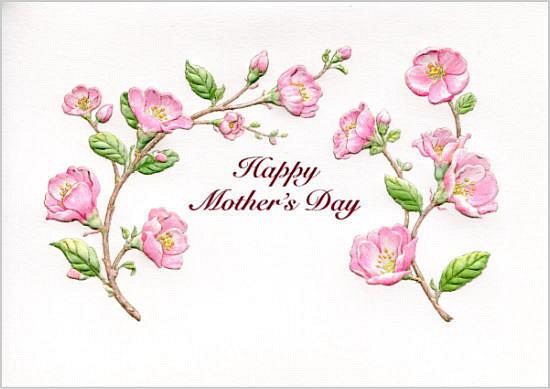 母の日カード Mother's Day チェッリーブロッサム [0586-99900] 1枚目の画像