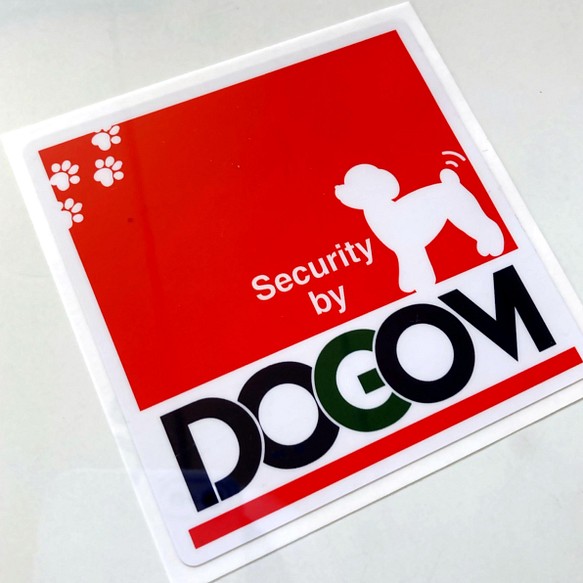 プードル2/DOGOM 1枚目の画像