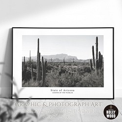 ☆インテリアフォトポスター -Arizona-【067】 1枚目の画像