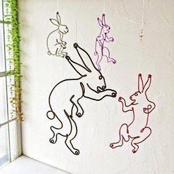 兔兔さん　専用