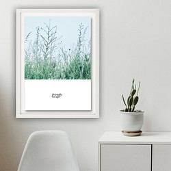 写真・デザインポスター friendly escape / 花 自然 植物 エレガント 風景写真 1枚目の画像