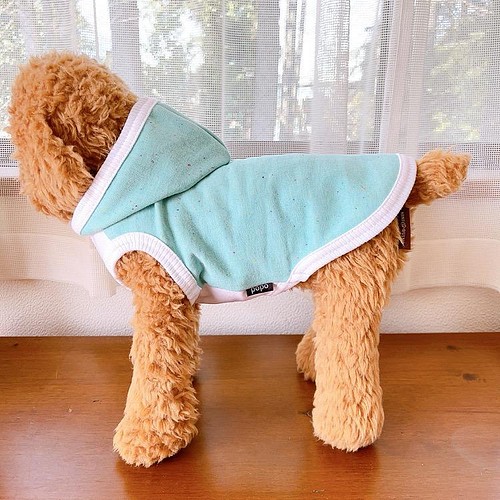 即日発送 犬服ハンドメイドお問い合わせ専用 犬用品 - abacus-rh.com