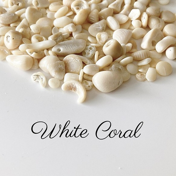 珊瑚の石　ホワイト