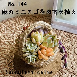 No.１４４☆麻のミニカゴ多肉寄せ植え☆５月８日までの出品です 多肉