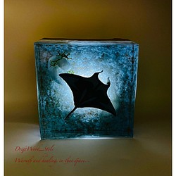 海の世界を閉じ込めた流木アート マンタ 水中ジオラマ 流木 レジンアート オブジェ アクアリウム LEDライト付 1枚目の画像