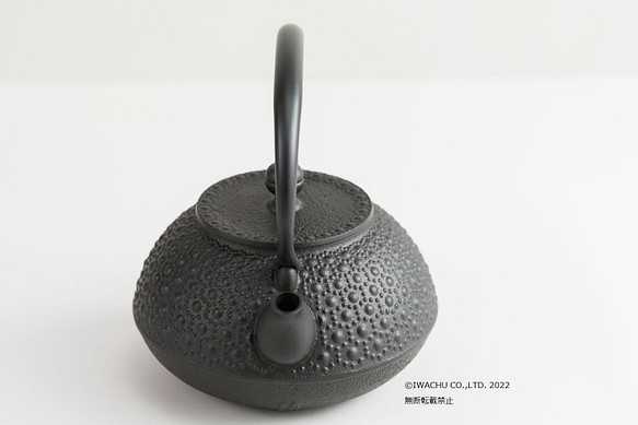 【公式】岩鋳　南部鉄器　鉄瓶　9型平丸亀甲（内面釜焼） 1枚目の画像