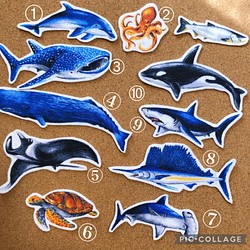❁︎単品売り❁︎ 海の生き物　お魚　サメ　イルカ　アイロンワッペン　布ワッペン　アップリケ　ギフトラッピング 無料 1枚目の画像