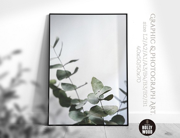 ☆インテリアフォトポスター -eucalyptus leaf-【212】 1枚目の画像