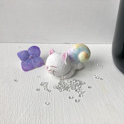 彩虹色蝸牛貓白色 第1張的照片