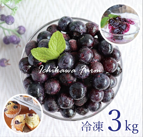 【2023年収穫】高知県産　太陽の恵み さんさんブルーベリー　冷凍ブルーベリー（500g×6袋） 1枚目の画像