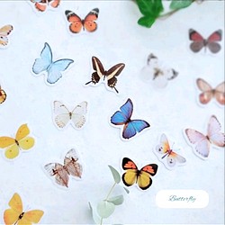 海外フレークシール 切手風「 Butterfly  」蝶々　フレークシール  40枚　 海外シール 1枚目の画像