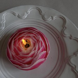 花蠟燭“ranunclus -marguerite-”【定做】 第1張的照片