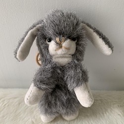 灰色ラビット　ウサギ 1枚目の画像