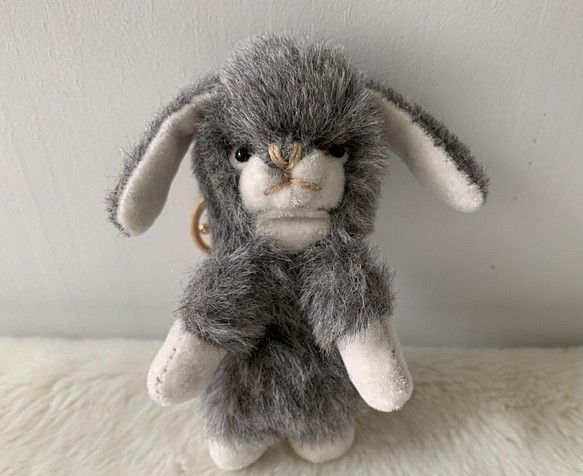 灰色ラビット　ウサギ 1枚目の画像
