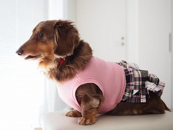 犬服 ダックスちゃんの二段フリルのワンピース ピンク ペット服 アクセサリー Garden Heaven 通販 Creema クリーマ ハンドメイド 手作り クラフト作品の販売サイト