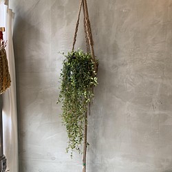 Hanging Planter マクラメ編みハンギングプランター その他インテリア雑貨 Crope 通販 Creema クリーマ ハンドメイド 手作り クラフト作品の販売サイト