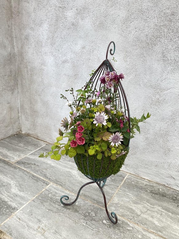 ベビーティアーズの器にいろいろなお花を寄せ植え♬　ご自宅用、お店のディスプレイに！プレゼントにも！