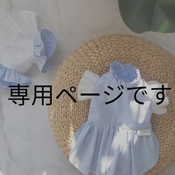 【yuika様専用ページ】犬服・summer COOL ハーネス 1枚目の画像