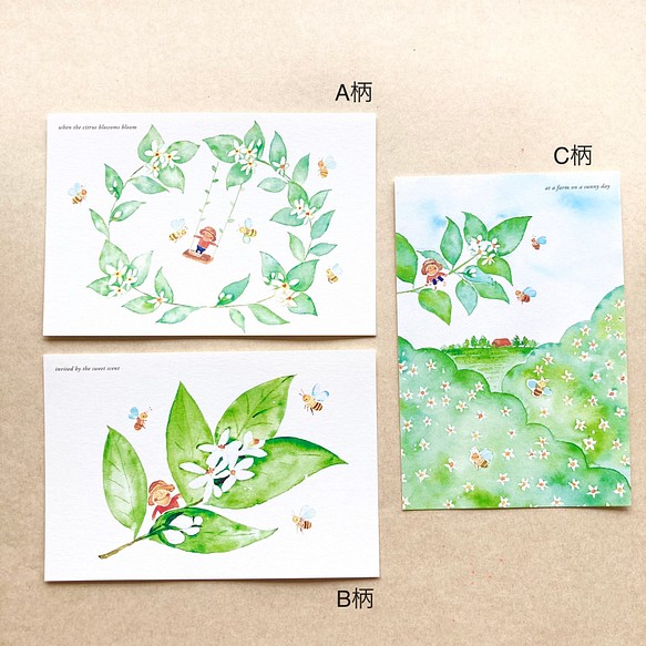【No.061】ポストカード 3枚セット（〜みかんの花シリーズ〜） 1枚目の画像