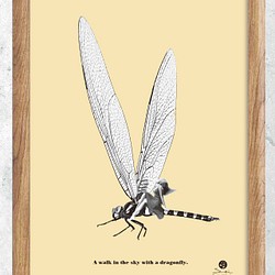 オリジナル　ポスター　A4 　アート　seiで検索　誕生日　結婚祝い　ファンタジック　かわいい　昆虫　トンボ　m-210 1枚目の画像