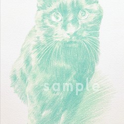 猫の似顔絵 描きます♪︎ 愛猫をアートに♪︎ 色鉛筆画(同系色まとめ