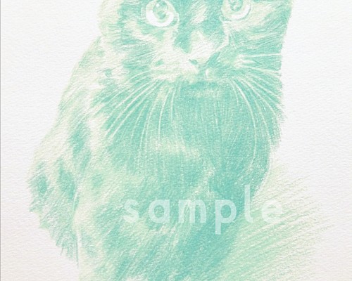 猫の似顔絵 描きます♪︎ 愛猫をアートに♪︎ 色鉛筆画(同系色まとめ・タッチありの描画) オーダー制作品