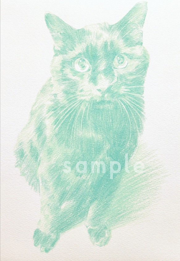 猫の似顔絵 描きます♪︎ 愛猫をアートに♪︎ 色鉛筆画(同系色まとめ