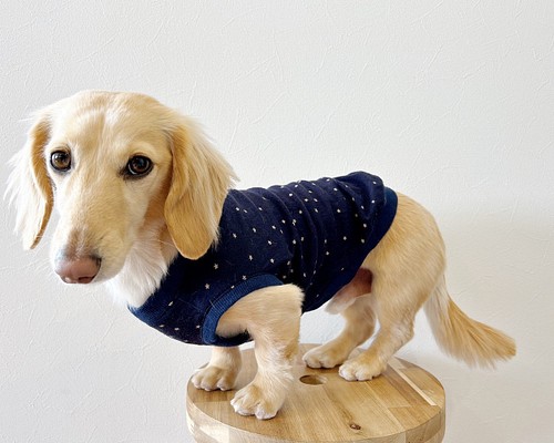 ミニチュアダックス服 3サイズ タンクトップ 星柄 ネイビー 犬服 犬