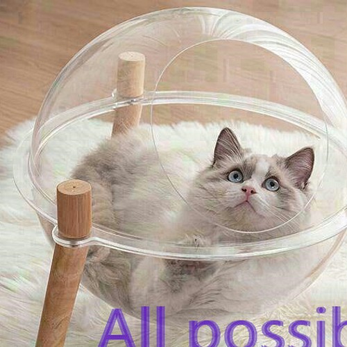 新品 透明な猫のベッド カプセル ペットハウス 可愛い 快適猫ハウス 