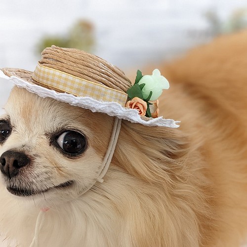 犬・猫用ハット 超小型犬 帽子 かざり NO.2 イエローリボン ペット服