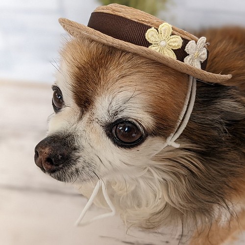 犬・猫用ハット 超小型犬 帽子 かざり NO.4 カンカン帽 ペット服