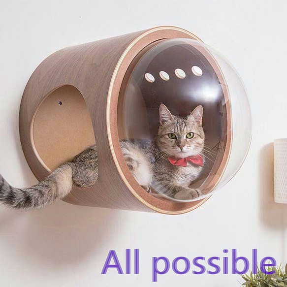猫 キャットウォーク キャットステップ ベッド ハウス 壁付け 天然木新品
