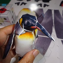 スーパーリアルペーパークラフト　おうさまペンギン　11ｃｍ　　A4写真1枚 1枚目の画像